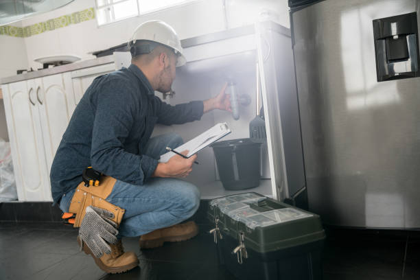 Best Septic Systems  in Steelevle, IL