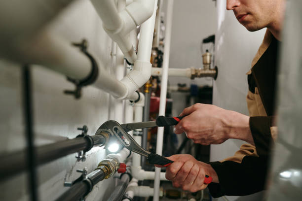 Best Drain Cleaning Services  in Steelevle, IL