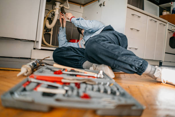Best Water Leak Repair  in Steelevle, IL