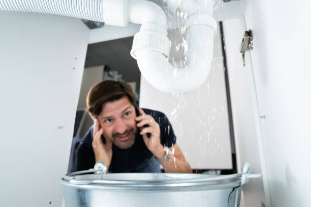 Best Shower Repair Services  in Steelevle, IL
