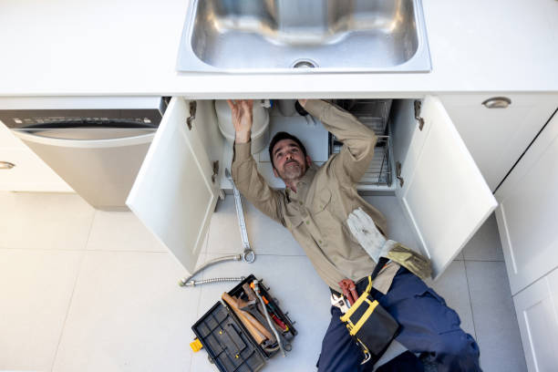 Best Best Plumbers Near Me  in Steelevle, IL