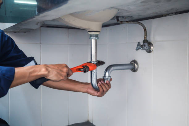 Best Residential Plumbing Services  in Steelevle, IL