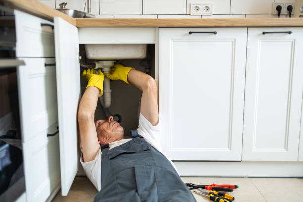 Steelevle, IL Plumbing Pros
