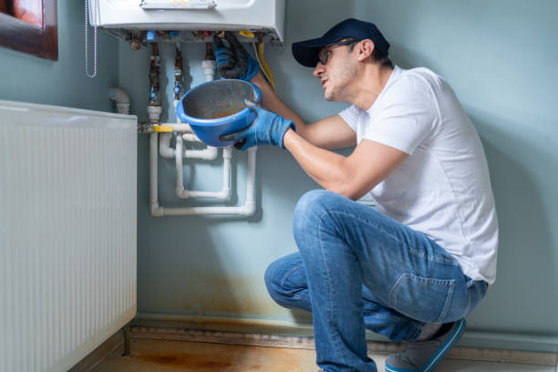 Best Leak Detection Services  in Steelevle, IL