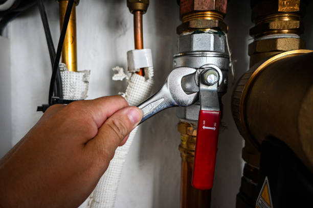 Best Affordable Plumber Near Me  in Steelevle, IL
